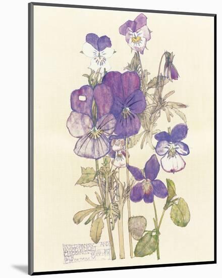 Wild Pansy-Charles Rennie Mackintosh-Mounted Premium Giclee Print