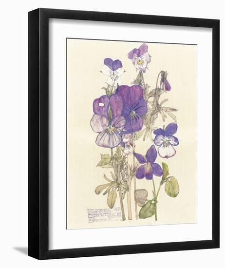 Wild Pansy-Charles Rennie Mackintosh-Framed Premium Giclee Print