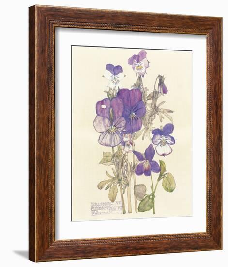 Wild Pansy-Charles Rennie Mackintosh-Framed Premium Giclee Print