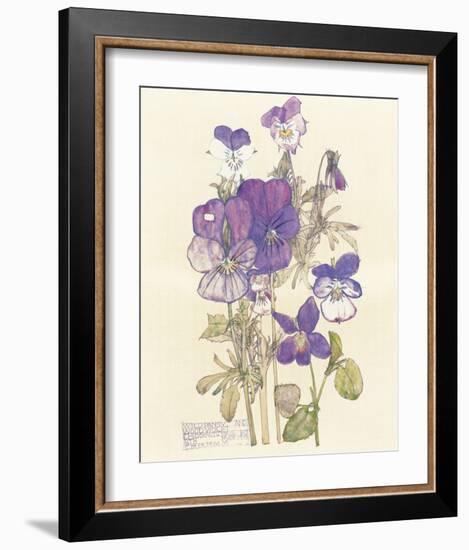 Wild Pansy-Charles Rennie Mackintosh-Framed Premium Giclee Print