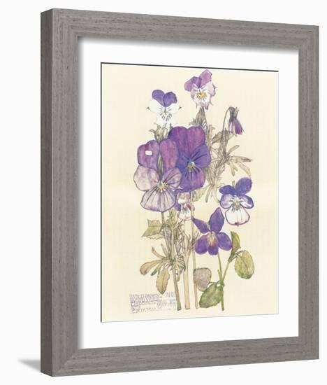 Wild Pansy-Charles Rennie Mackintosh-Framed Premium Giclee Print