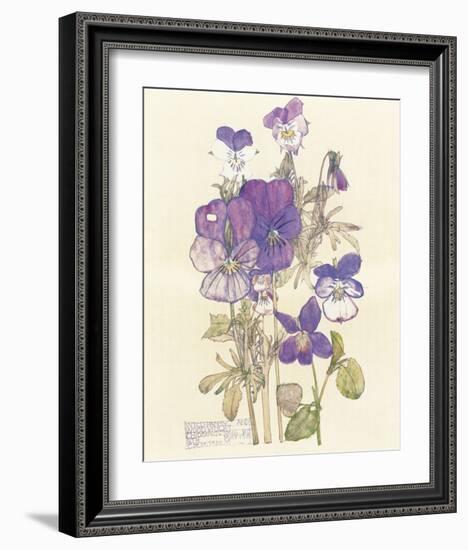 Wild Pansy-Charles Rennie Mackintosh-Framed Premium Giclee Print