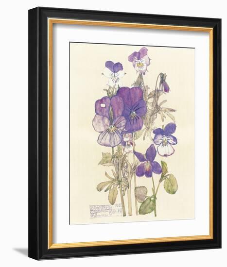 Wild Pansy-Charles Rennie Mackintosh-Framed Premium Giclee Print