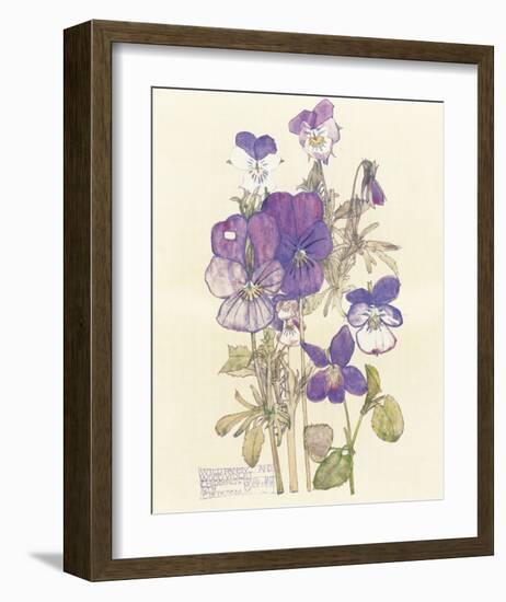 Wild Pansy-Charles Rennie Mackintosh-Framed Premium Giclee Print