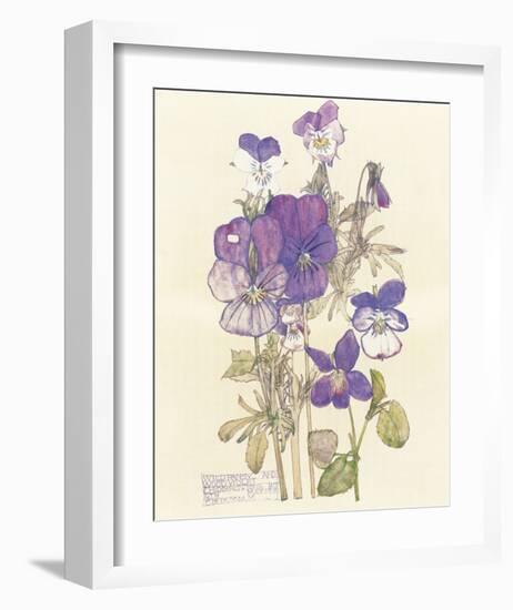 Wild Pansy-Charles Rennie Mackintosh-Framed Premium Giclee Print