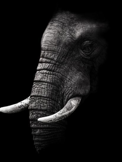Photographic Print, , large