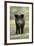 Wild Pig Sow Alert on Forest Track-null-Framed Photographic Print