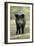 Wild Pig Sow Alert on Forest Track-null-Framed Photographic Print