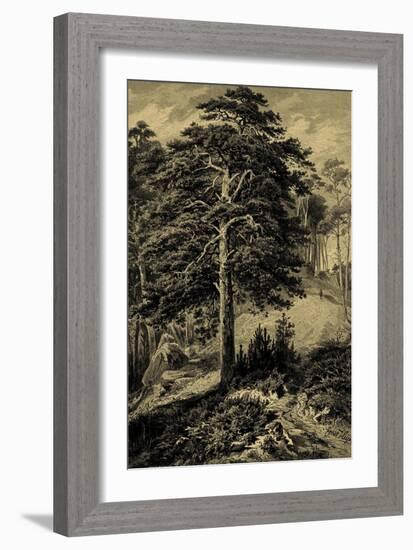 Wild Pine-Ernst Heyn-Framed Art Print