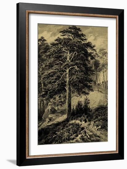 Wild Pine-Ernst Heyn-Framed Art Print