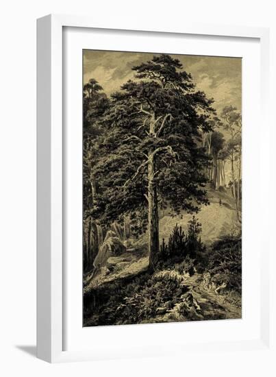 Wild Pine-Ernst Heyn-Framed Art Print