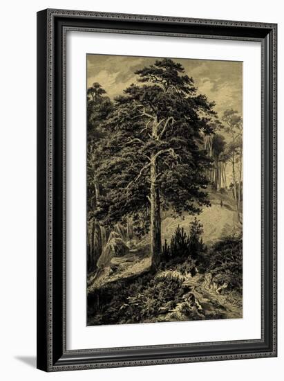 Wild Pine-Ernst Heyn-Framed Art Print