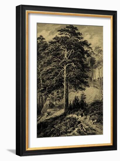 Wild Pine-Ernst Heyn-Framed Art Print