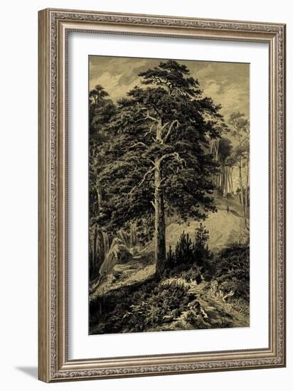 Wild Pine-Ernst Heyn-Framed Premium Giclee Print