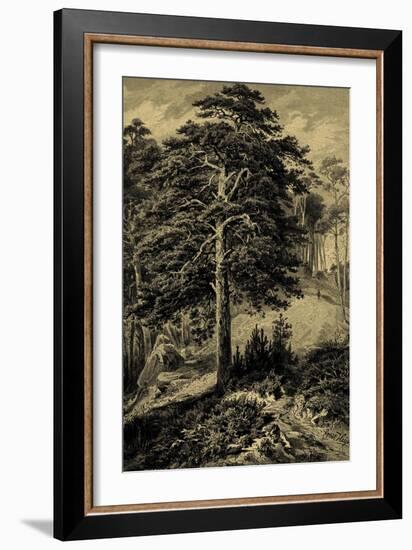 Wild Pine-Ernst Heyn-Framed Premium Giclee Print