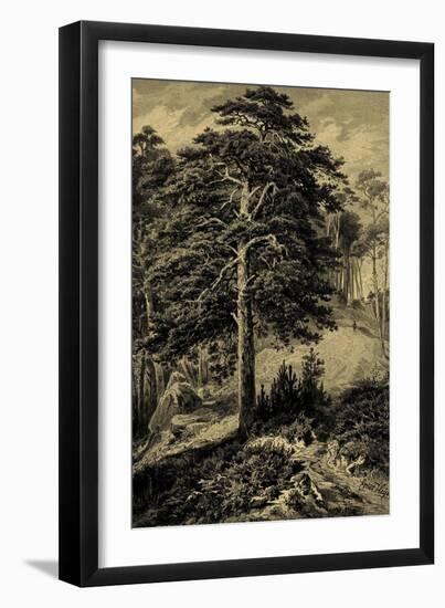 Wild Pine-Ernst Heyn-Framed Premium Giclee Print