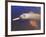 Wild Pink Amazon River Dolphin, Amazon River, Brazil, South America-Nico Tondini-Framed Photographic Print