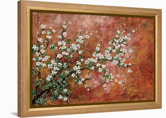 Wild Plum Blossoms-Zachary Alexander-Framed Stretched Canvas