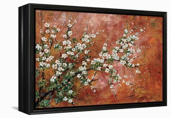 Wild Plum Blossoms-Zachary Alexander-Framed Stretched Canvas