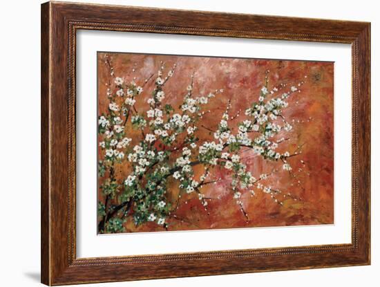 Wild Plum Blossoms-Zachary Alexander-Framed Art Print