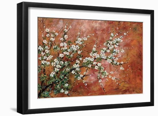 Wild Plum Blossoms-Zachary Alexander-Framed Art Print