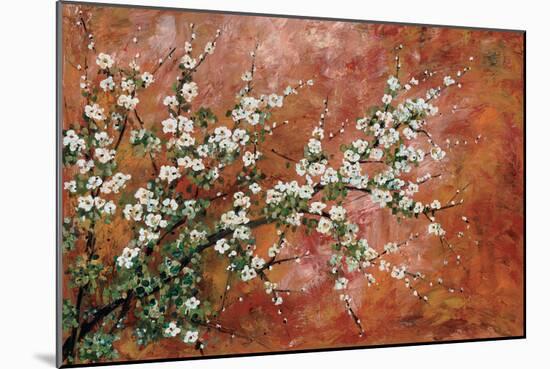 Wild Plum Blossoms-Zachary Alexander-Mounted Art Print