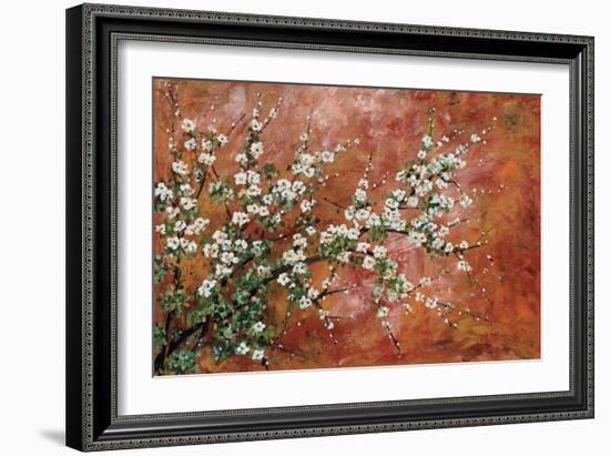 Wild Plum Blossoms-Zachary Alexander-Framed Art Print