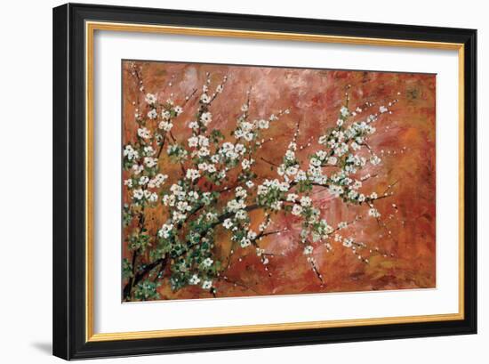 Wild Plum Blossoms-Zachary Alexander-Framed Art Print