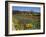 Wild Poppies and Lupine Flowers in a Vineyard, Kenwood Vineyards, Kenwood, Sonoma County-null-Framed Photographic Print