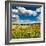 Wild Poppies (Papaver Rhoeas) and Wild Grasses in Front of Sierra Nevada Mountains, Spain-Giles Bracher-Framed Photographic Print