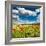 Wild Poppies (Papaver Rhoeas) and Wild Grasses in Front of Sierra Nevada Mountains, Spain-Giles Bracher-Framed Photographic Print