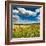 Wild Poppies (Papaver Rhoeas) and Wild Grasses in Front of Sierra Nevada Mountains, Spain-Giles Bracher-Framed Photographic Print