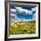 Wild Poppies (Papaver Rhoeas) and Wild Grasses in Front of Sierra Nevada Mountains, Spain-Giles Bracher-Framed Photographic Print