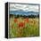 Wild Poppies (Papaver Rhoeas) and Wild Grasses with Sierra Nevada Mountains, Andalucia, Spain-Giles Bracher-Framed Premier Image Canvas