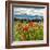 Wild Poppies (Papaver Rhoeas) and Wild Grasses with Sierra Nevada Mountains, Andalucia, Spain-Giles Bracher-Framed Photographic Print