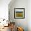 Wild Poppies (Papaver Rhoeas) and Wild Grasses with Sierra Nevada Mountains, Andalucia, Spain-Giles Bracher-Framed Photographic Print displayed on a wall