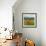 Wild Poppies (Papaver Rhoeas) and Wild Grasses with Sierra Nevada Mountains, Andalucia, Spain-Giles Bracher-Framed Photographic Print displayed on a wall