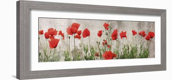 Wild Poppy Panorama-Pete Kelly-Framed Giclee Print