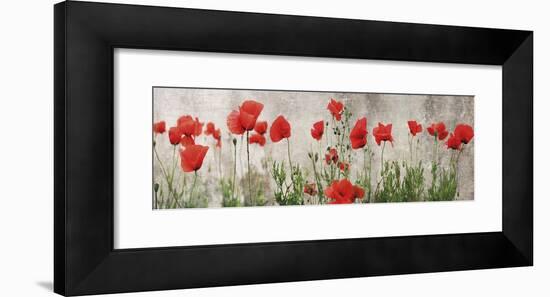 Wild Poppy Panorama-Pete Kelly-Framed Giclee Print