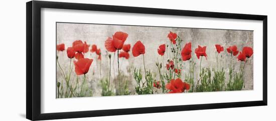 Wild Poppy Panorama-Pete Kelly-Framed Giclee Print