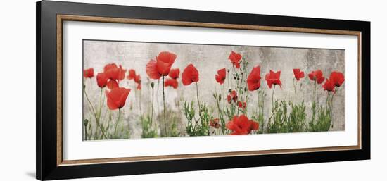 Wild Poppy Panorama-Pete Kelly-Framed Giclee Print