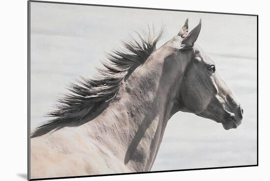 Wild Profile-Wink Gaines-Mounted Giclee Print