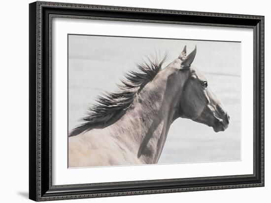 Wild Profile-Wink Gaines-Framed Giclee Print