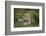 Wild Puma in Chile-Joe McDonald-Framed Photographic Print