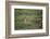 Wild Puma in Chile-Joe McDonald-Framed Photographic Print