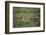 Wild Puma in Chile-Joe McDonald-Framed Photographic Print