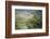 Wild Puma in Chile-Joe McDonald-Framed Photographic Print