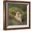 Wild Puma in Chile-Joe McDonald-Framed Photographic Print