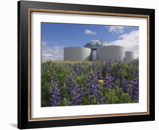 Wild Purple Lupins Surrounding the Pearl (Perlan) Oskjulid Dome, Reykjavik, Iceland, Polar Regions-Neale Clarke-Framed Photographic Print