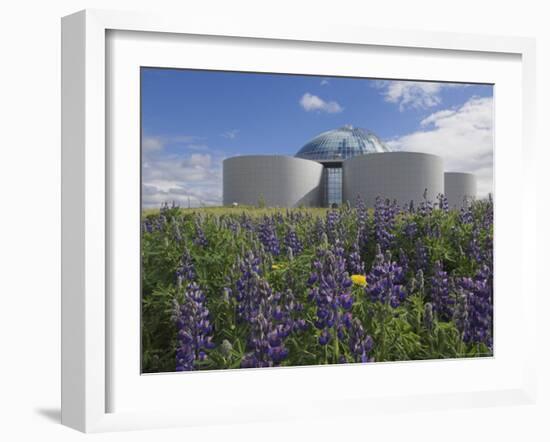 Wild Purple Lupins Surrounding the Pearl (Perlan) Oskjulid Dome, Reykjavik, Iceland, Polar Regions-Neale Clarke-Framed Photographic Print